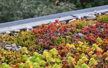 the cost of Cudworth green roof installation