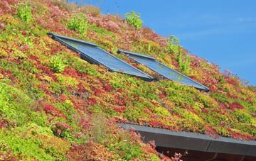Cudworth living roof systems