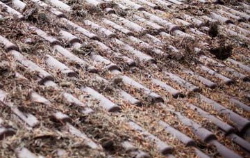 Cudworth roof cleaning companies